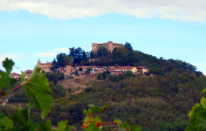 Castello Monticello d'Alba